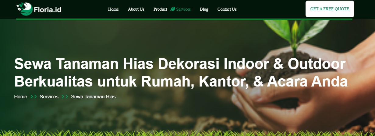 sewa tanaman hias